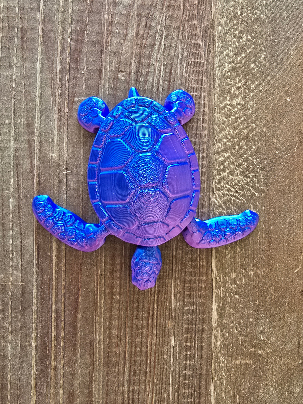 Turtle